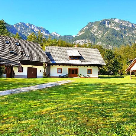 Apartmaji Zupanc Ivanka Бохинь Экстерьер фото
